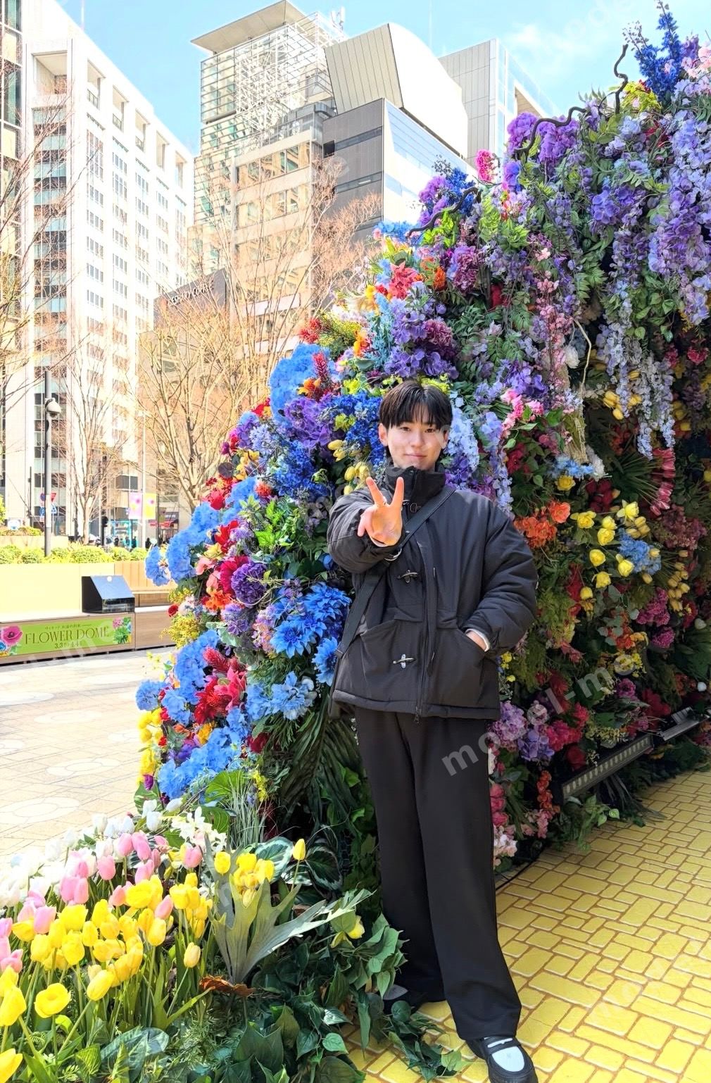 井上 大雅のプロフィール写真2